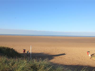 Picture 20